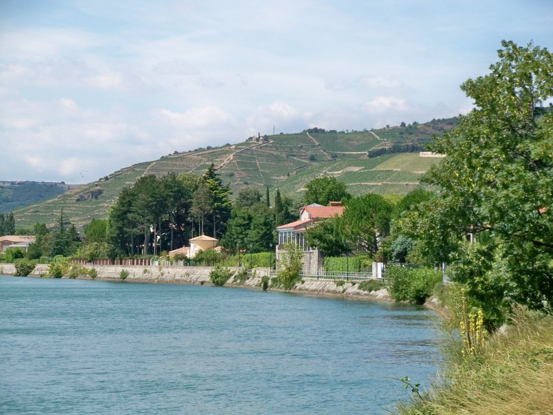 The Rhône running below the vineyard terraces at Tain-l’Hermitage, the hill rising in steps from the far bank.